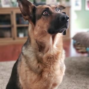 Meet your Posher, Tammy